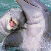 ヒメ日記 2025/07/28 23:24 投稿 梨々花（りりか） PLUS難波店