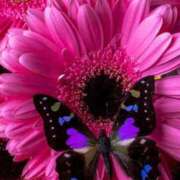 ヒメ日記 2026/04/24 10:04 投稿 梨々花（りりか） PLUS難波店