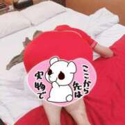 ヒメ日記 2025/11/23 20:29 投稿 大竹 鶯谷デッドボール