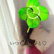 ヒメ日記 2025/07/20 19:15 投稿 ゆい 性腺熟女100％（デリヘル市場）