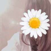 ヒメ日記 2025/08/01 15:50 投稿 ゆい 性腺熟女100％（デリヘル市場）