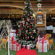 ヒメ日記 2025/11/20 16:10 投稿 ゆい 性腺熟女100％（デリヘル市場）