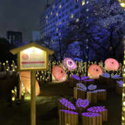 ヒメ日記 2026/03/27 12:10 投稿 ゆい 性腺熟女100％（デリヘル市場）