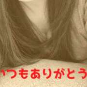 ヒメ日記 2026/10/21 12:15 投稿 ゆい 性腺熟女100％本店（デリヘル市場）
