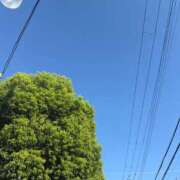 ヒメ日記 2025/08/02 17:29 投稿 竹内ゆい 新ハイブリッドエステ エクスタシーPLUS