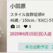 ヒメ日記 2025/09/29 14:36 投稿 小田原 熟女の風俗最終章 新横浜店