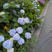 ヒメ日記 2025/06/15 21:33 投稿 藤原 ともみ 熟女パラダイス鶯谷店(カサブランカグループ)