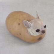 ヒメ日記 2025/11/10 17:19 投稿 西城 れんか しゃせきょっ!XX教育される制服女子たち