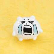 西城 れんか ごめんなさい😭 しゃせきょっ!XX教育される制服女子たち