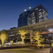 ヒメ日記 2025/11/26 20:33 投稿 れい トレンディ