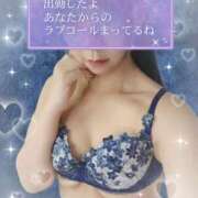 ヒメ日記 2025/12/31 14:30 投稿 岡崎かおる おいしい人妻熟女