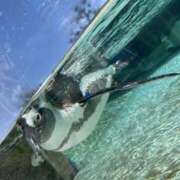 ヒメ日記 2025/09/03 20:30 投稿 りつ トレンディ