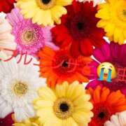 せな インフルエンザになってしまいました。せなです。 神戸人妻援護会