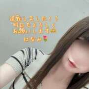 ヒメ日記 2025/07/16 23:55 投稿 はなみ 逆電車ごっこ ～GLAMOROUS TRAIN～