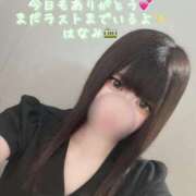 ヒメ日記 2025/08/05 21:50 投稿 はなみ 逆電車ごっこ ～GLAMOROUS TRAIN～