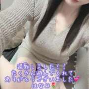 ヒメ日記 2025/11/29 17:40 投稿 はなみ 逆電車ごっこ ～GLAMOROUS TRAIN～