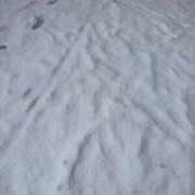 ヒメ日記 2026/02/08 14:50 投稿 はなみ 逆電車ごっこ ～GLAMOROUS TRAIN～