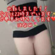 ヒメ日記 2026/03/08 14:15 投稿 はなみ 逆電車ごっこ ～GLAMOROUS TRAIN～