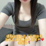 ヒメ日記 2026/04/04 16:20 投稿 はなみ 逆電車ごっこ ～GLAMOROUS TRAIN～