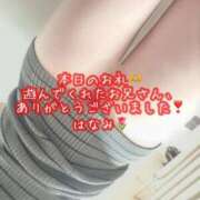 ヒメ日記 2026/04/25 16:00 投稿 はなみ 逆電車ごっこ ～GLAMOROUS TRAIN～