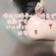 ヒメ日記 2026/04/26 12:51 投稿 はなみ 逆電車ごっこ ～GLAMOROUS TRAIN～