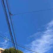 ヒメ日記 2025/11/21 14:29 投稿 瑠奈(るな) エリートな人妻たち新宿