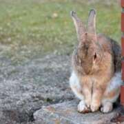 ヒメ日記 2025/08/23 23:35 投稿 小島ちほ 月の真珠-新宿-