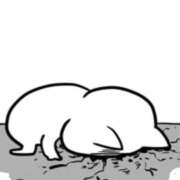 ヒメ日記 2025/10/11 14:22 投稿 もえ 錦センター