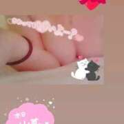 ヒメ日記 2025/09/19 15:48 投稿 きこ 奥様さくら日本橋店