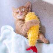 ヒメ日記 2025/09/20 15:03 投稿 きこ 奥様さくら日本橋店