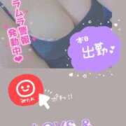 ヒメ日記 2025/10/01 09:56 投稿 きこ 奥様さくら日本橋店