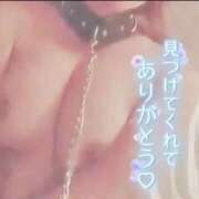 ヒメ日記 2025/10/10 11:00 投稿 きこ 奥様さくら日本橋店