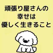 ヒメ日記 2025/10/11 16:50 投稿 きこ 奥様さくら日本橋店
