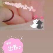 ヒメ日記 2025/10/30 20:46 投稿 きこ 奥様さくら日本橋店