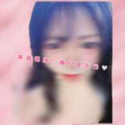 ヒメ日記 2025/11/19 10:15 投稿 きこ 奥様さくら日本橋店