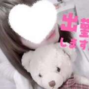 ヒメ日記 2025/11/22 08:09 投稿 きこ 奥様さくら日本橋店