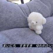 ヒメ日記 2025/11/23 14:42 投稿 きこ 奥様さくら日本橋店