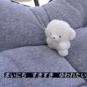 ヒメ日記 2025/11/23 14:46 投稿 きこ 奥様さくら日本橋店