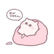 ヒメ日記 2025/11/26 07:02 投稿 きこ 奥様さくら日本橋店