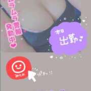 ヒメ日記 2025/11/29 09:21 投稿 きこ 奥様さくら日本橋店