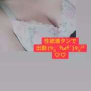 ヒメ日記 2025/12/04 11:06 投稿 きこ 奥様さくら日本橋店