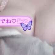 ヒメ日記 2025/12/08 13:06 投稿 きこ 奥様さくら日本橋店