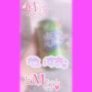 ヒメ日記 2025/12/10 15:05 投稿 きこ 奥様さくら日本橋店