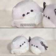 ヒメ日記 2025/12/12 22:49 投稿 きこ 奥様さくら日本橋店