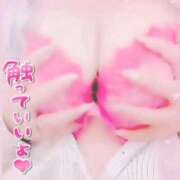 ヒメ日記 2025/12/13 11:33 投稿 きこ 奥様さくら日本橋店