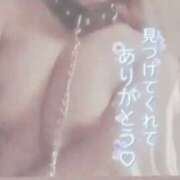 ヒメ日記 2025/12/14 21:36 投稿 きこ 奥様さくら日本橋店