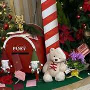 ヒメ日記 2025/12/15 08:16 投稿 きこ 奥様さくら日本橋店