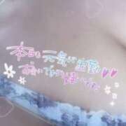 ヒメ日記 2025/12/16 10:45 投稿 きこ 奥様さくら日本橋店