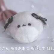 ヒメ日記 2025/12/22 00:14 投稿 きこ 奥様さくら日本橋店