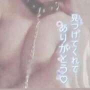 ヒメ日記 2025/12/27 01:30 投稿 きこ 奥様さくら日本橋店